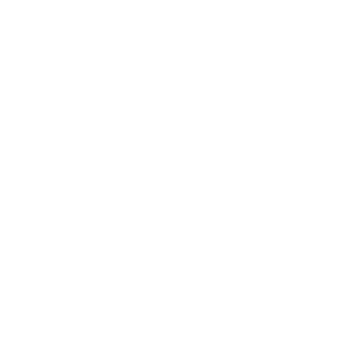 AVIC International